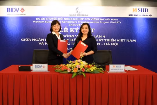 SHB đầu tư vốn đẩy mạnh phát triển kinh tế Đồng bằng sông Cửu Long 