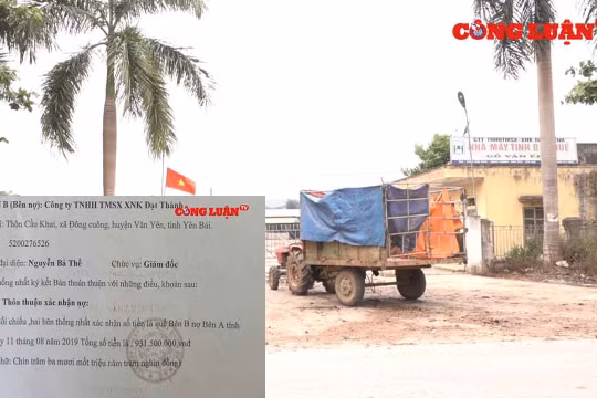 Yên Bái: Giám đốc Công ty Đạt Thành "quỵt nợ" khiến hàng chục hộ dân điêu đứng