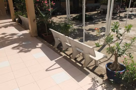 Tiền Giang: Điều tra vụ nam sinh cưỡng bức bé gái 11 tuổi đến có thai