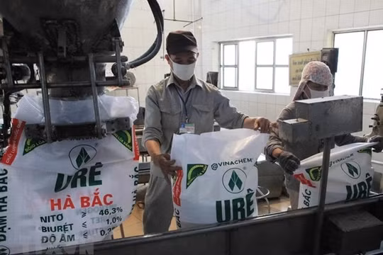 Điều tra dấu hiệu hình sự trong đấu thầu Dự án đầu tư mở rộng Nhà máy phân đạm Hà Bắc