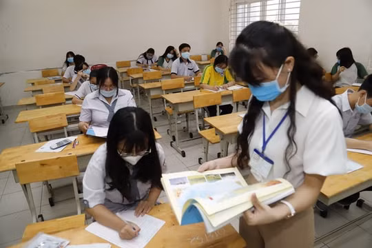Đáp án đề thi Tiếng Anh tốt nghiệp THPT 2020, mã đề 406 (tham khảo)