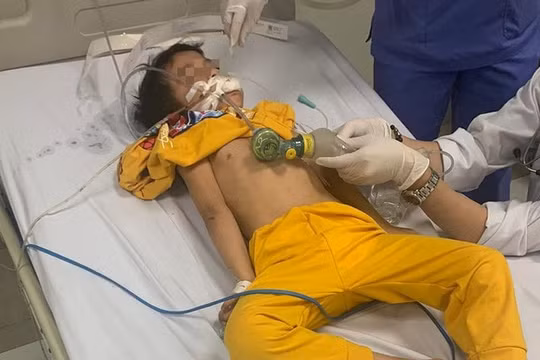 Bé trai 6 tuổi ở Hải Phòng nguy kịch vì ăn nhầm thuốc diệt chuột