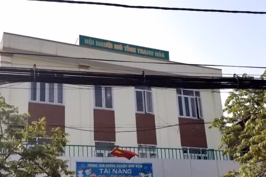 Bản tin pháp luật 8H: Kế toán Hội người mù biến mất cùng 800 triệu tiền hội viên bán tăm, hát dạo