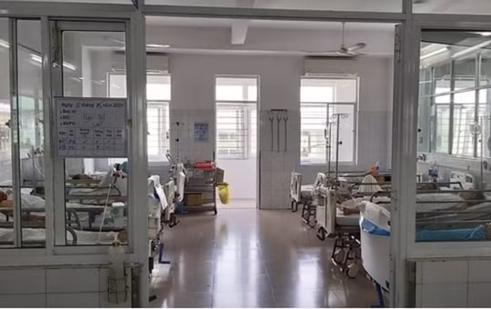 Đã xác định nguyên nhân khiến hơn 200 người ngộ độc ở Đà Nẵng