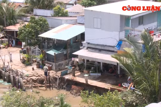 Long An: Sạt lở nghiêm trọng hàng trăm hộ dân có nguy cơ mất nhà