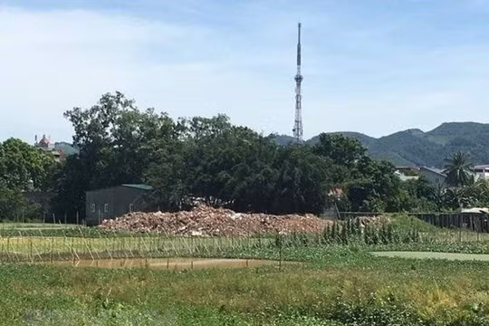 Hành hung người thi hành công vụ, Chủ nhiệm Hợp tác xã bị khởi tố