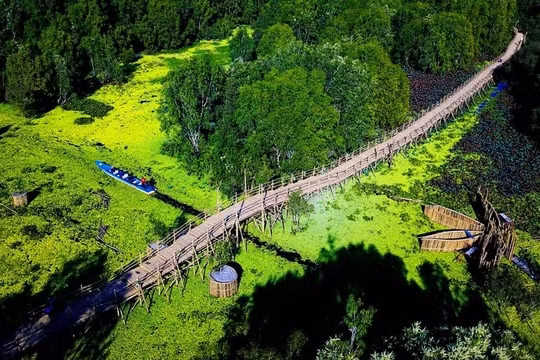 Khám phá rừng tràm Trà Sư - bức tranh thủy mặc giữa đại ngàn rừng tràm
