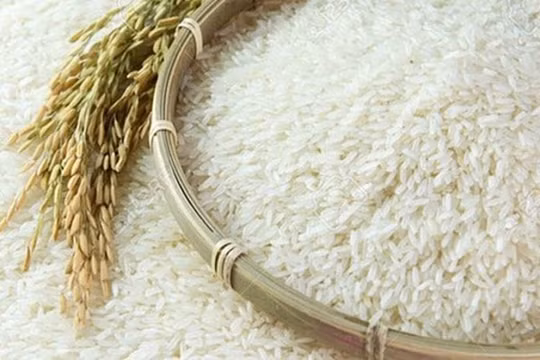 Thủ tướng yêu cầu làm rõ thông tin về nhận định “90% dân Việt ăn gạo bẩn”