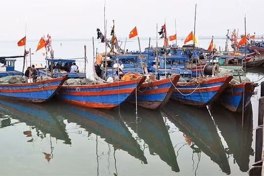 Hà Tĩnh: Gần 200 tàu thuyền cập bến trú bão số 5 an toàn