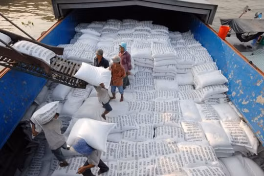 Xuất khẩu gạo sang Trung Quốc tăng gấp 4 lần cùng kỳ năm ngoái