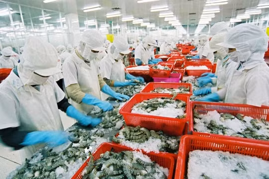 Xuất khẩu Việt Nam bắt kịp xu hướng mới để phục hồi