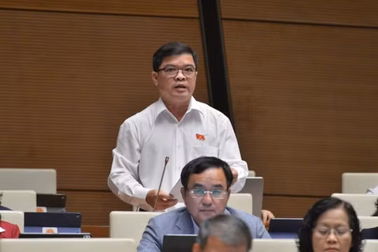 "Chúng ta đang xem nhẹ các tác động khách quan tới đổi mới giáo dục"