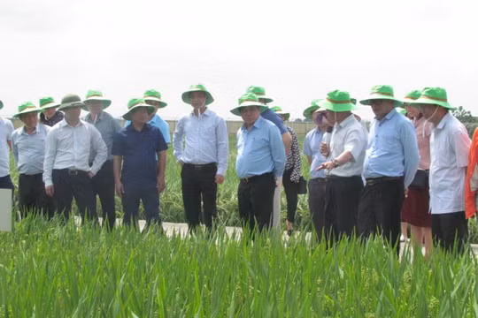 Đảng bộ Thái Bình Seed: Thành công từ chăm lo nguồn nhân lực