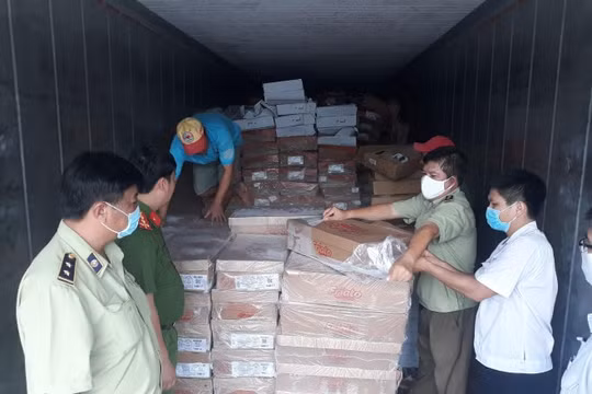 Bình Dương: Phát hiện 19 tấn thực phẩm đông lạnh đang phân hủy bốc mùi hôi thối
