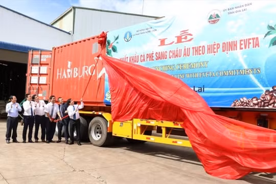 Việt Nam xuất khẩu lô cà phê đầu tiên sang châu Âu theo Hiệp định EVFTA