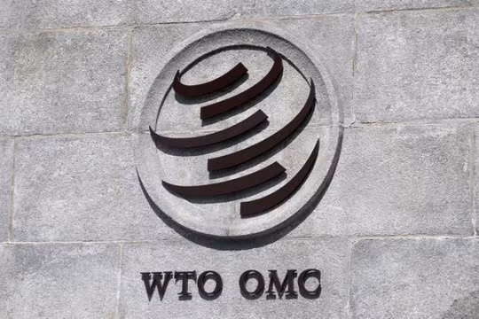 WTO phán quyết hành động áp thuế Trung Quốc của Mỹ là sai quy tắc