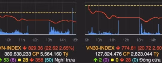 Chứng khoán ngày 30/6: VN-Index lui về quanh ngưỡng 800 điểm?