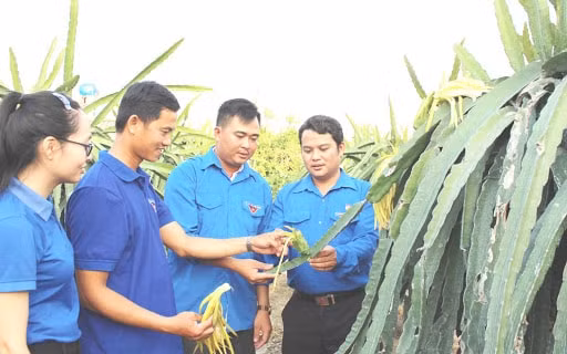 Cần tháo gỡ khó khăn về vốn cho thanh niên khởi nghiệp