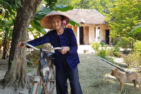 Thanh Hóa: Khen tặng nhiều cá nhân và tập thể có thành tích xuất sắc trong các phong trào thi đua yêu nước