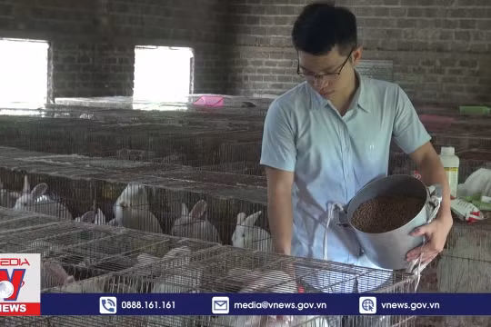 Ninh Bình đồng hành giúp nông dân phát triển kinh tế