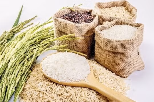 Chuyên gia bác bỏ ý kiến "90% người Việt Nam ăn gạo bẩn"