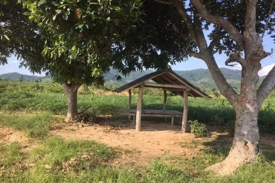 Gia Lai: Truy bắt nhóm đối tượng dùng dao tấn công 2 cán bộ kiểm lâm