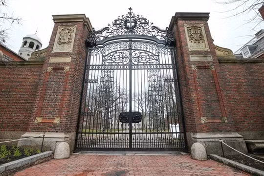 Tin tức thế giới ngày 9/7: Harvard và MIT kiện chính phủ Mỹ vì quy định visa mới với sinh viên quốc tế