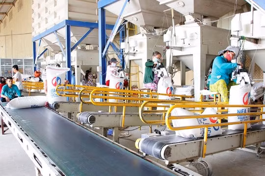 TP.HCM: Bắt đầu hỗ trợ người lao động bị ảnh hưởng dịch Covid-19