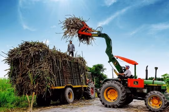 Ngành mía đường phải chủ động tự đổi mới để phát triển bền vững