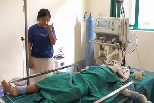 Mâu thuẫn với con trai, ông cầm dao chém cháu nội nguy kịch rồi tự sát