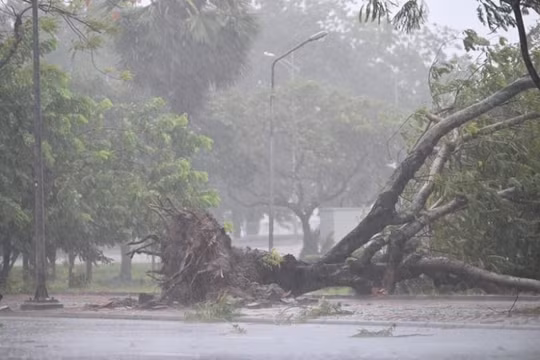Bão số 5 đổ bộ miền Trung khiến 1 người chết, 29 người bị thương