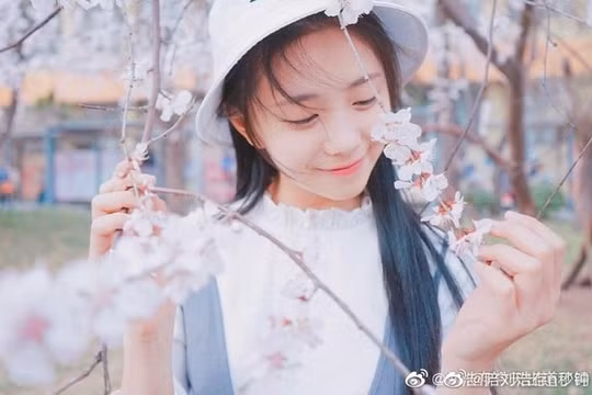 Lưu Hạo Tồn người kế nhiệm Củng Lợi, Chương Tử Di?