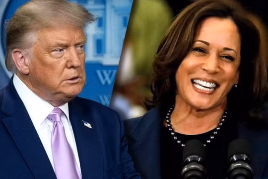 Trump bất ngờ khi Biden chọn ứng viên phó tổng thống