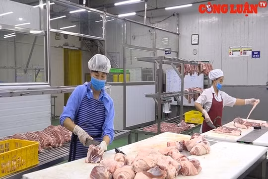 Bình ổn giá thịt lợn vẫn chưa có lời giải