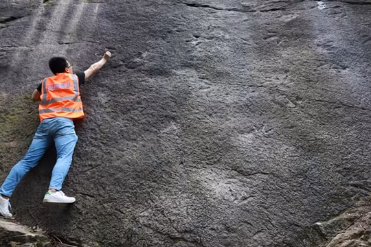 Phát hiện 46 dấu chân khủng long 190 triệu năm tuổi ở Công viên quốc gia Geleshan