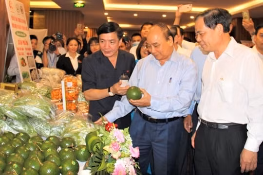 Thủ tướng: Làm sao hình thành lớp nông dân mới, với tư duy đổi mới