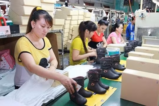 Năm đầu nghỉ hưu, cán bộ quân đội không được lập doanh nghiệp