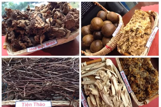 Trà thảo mộc giúp thanh nhiệt cơ thể, không sợ nóng trong người