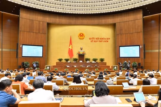 Quốc hội thảo luận Luật Xử lý vi phạm hành chính và Luật Bảo vệ môi trường (sửa đổi)
