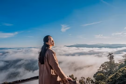 Bỏ túi tuyệt chiêu săn mây Đà Lạt để có những bức ảnh sống ảo