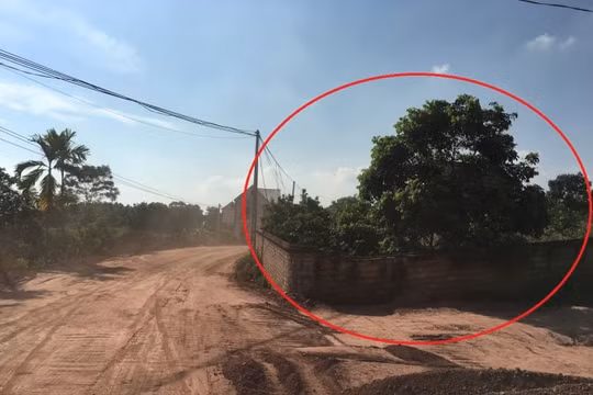 Lạng Giang (Bắc Giang): Biến đất thổ cư, đất vườn thành “đất rừng”!