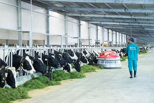 Vinamilk sẽ bán hết hơn 310.000 cổ phiếu quỹ