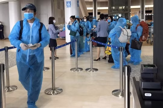 Chuyến bay đặc biệt đưa hơn 300 công dân Việt Nam ở Nhật về nước
