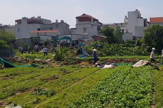 Ban hành Kế hoạch lập quy hoạch sử dụng đất quốc gia thời kỳ 2021 - 2030, tầm nhìn đến năm 2050 