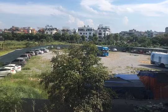 Hoàng Mai: Thành lập đoàn kiểm tra công vụ đối với vi phạm tại phường Hoàng Liệt