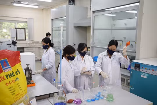 DPM: Sản xuất kinh doanh phân bón và hoá chất tăng mạnh