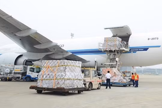 Xem xét dỡ bỏ lệnh cấm vận hành với các hãng hàng không chở hàng