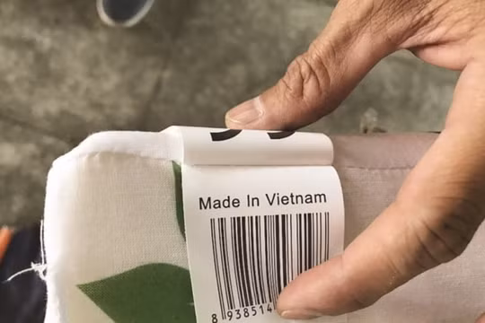 Phát hiện doanh nghiệp dùng C/O giả trốn thuế trên 300 triệu đồng