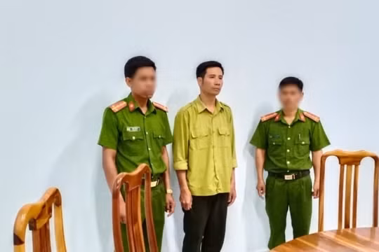 Khởi tố, bắt tạm giam nhân viên bảo vệ trong vụ phá rừng tại Gia Lai