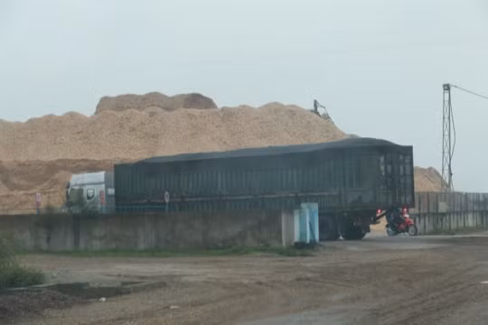 BQL Khu Kinh tế Đông Nam ‘bảo kê’ cho doanh nghiệp sản xuất dăm gỗ trái phép?